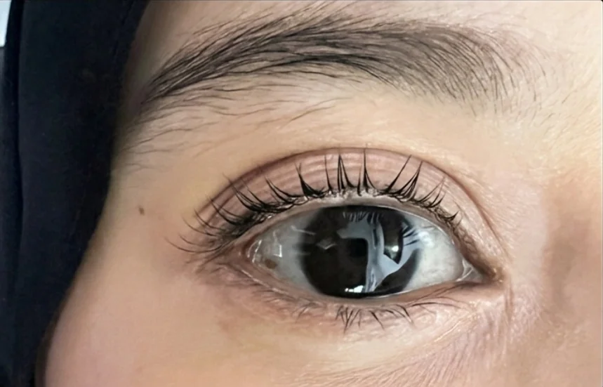 Real client lash lift result by Azura B Collective